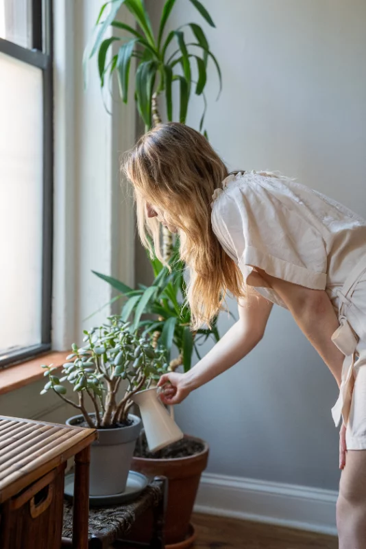 déménager plantes