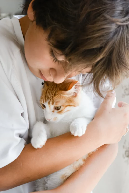 animal domestique déménagement