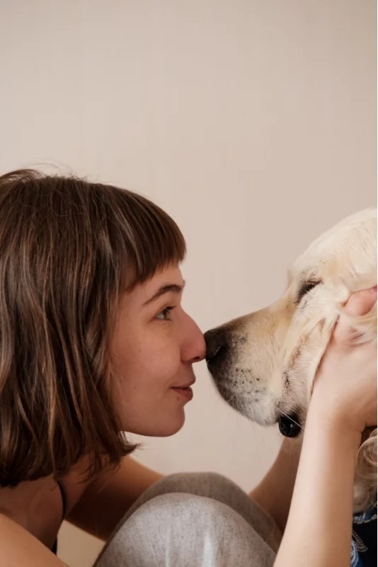 Dois-je confier mon animal domestique avant le déménagement ?